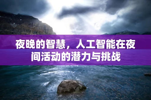 夜晚的智慧，人工智能在夜间活动的潜力与挑战