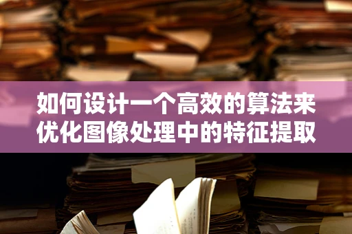 如何设计一个高效的算法来优化图像处理中的特征提取？