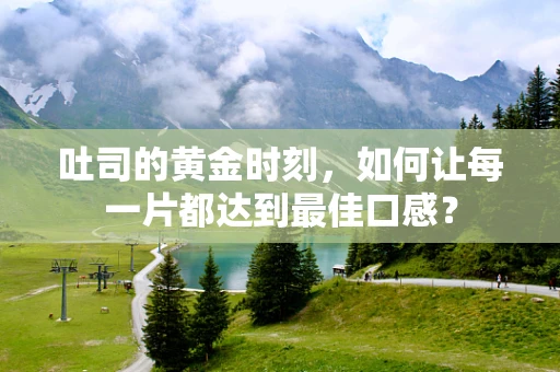 吐司的黄金时刻，如何让每一片都达到最佳口感？