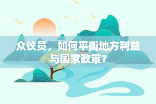 众议员，如何平衡地方利益与国家政策？