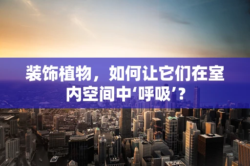 装饰植物，如何让它们在室内空间中‘呼吸’？