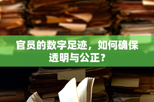 官员的数字足迹，如何确保透明与公正？