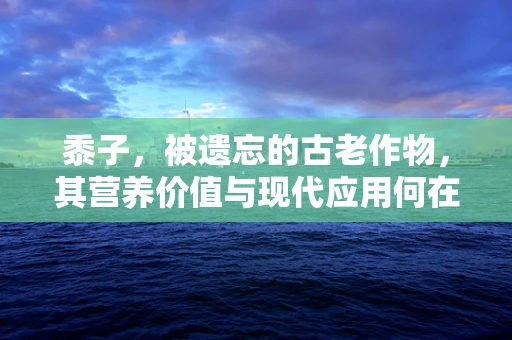 黍子，被遗忘的古老作物，其营养价值与现代应用何在？