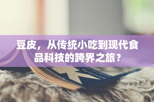 豆皮，从传统小吃到现代食品科技的跨界之旅？