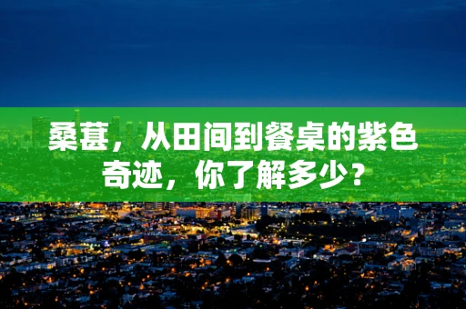 桑葚，从田间到餐桌的紫色奇迹，你了解多少？