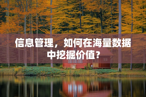 信息管理，如何在海量数据中挖掘价值？