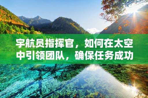 宇航员指挥官，如何在太空中引领团队，确保任务成功？