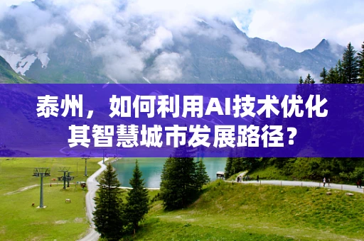 泰州，如何利用AI技术优化其智慧城市发展路径？