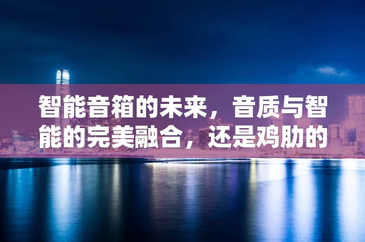 智能音箱的未来，音质与智能的完美融合，还是鸡肋的智能附加？